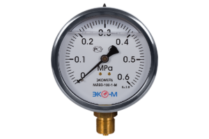 Манометр ЭКОМЕРА МД93-100мм 0..0,6МПа М20*1,5 (Гидрозаполненный) 1